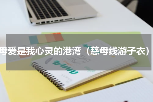 母爱是我心灵的港湾（慈母线游子衣）