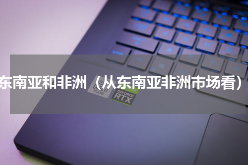 东南亚和非洲（从东南亚非洲市场看）