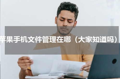 苹果手机文件管理在哪（大家知道吗）
