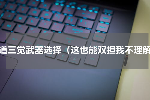 魔道三觉武器选择（这也能双担我不理解）