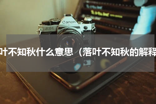 落叶不知秋什么意思（落叶不知秋的解释）