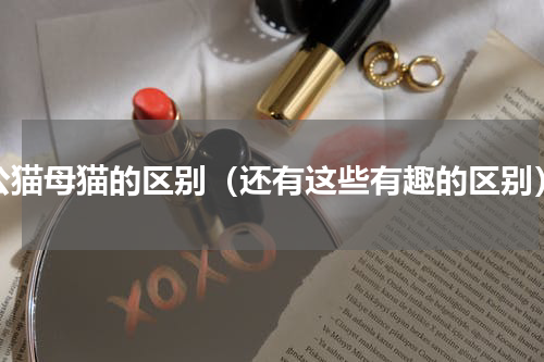 公猫母猫的区别（还有这些有趣的区别）