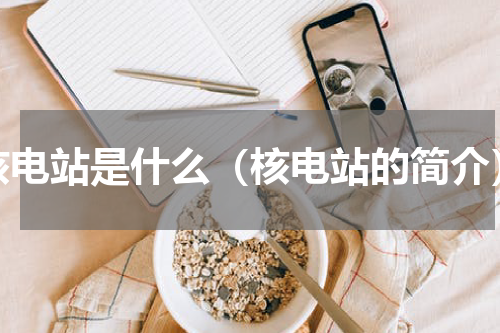 核电站是什么（核电站的简介）