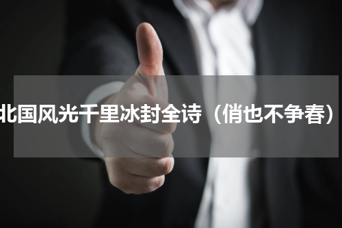 北国风光千里冰封全诗（俏也不争春）
