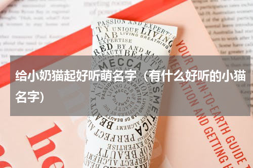 给小奶猫起好听萌名字（有什么好听的小猫名字）