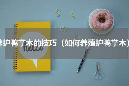 养护鸭掌木的技巧（如何养殖护鸭掌木）