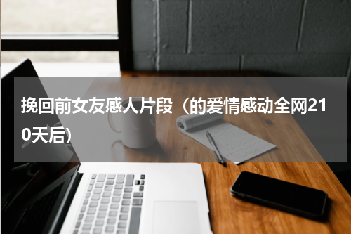 挽回前女友感人片段（的爱情感动全网210天后）