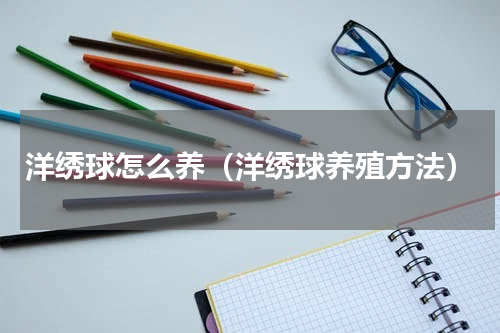 洋绣球怎么养（洋绣球养殖方法）