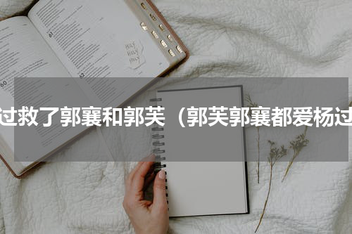 杨过救了郭襄和郭芙（郭芙郭襄都爱杨过）