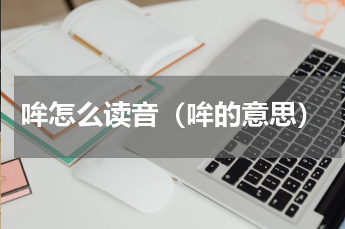 哞怎么读音（哞的意思）
