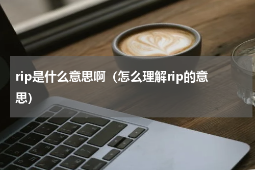 rip是什么意思啊（怎么理解rip的意思）