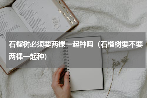 石榴树必须要两棵一起种吗（石榴树要不要两棵一起种）
