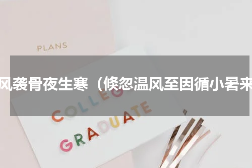 凉风袭骨夜生寒（倏忽温风至因循小暑来）