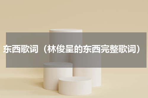 东西歌词（林俊呈的东西完整歌词）