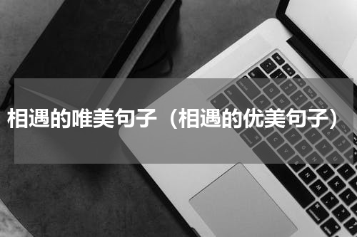 相遇的唯美句子（相遇的优美句子）