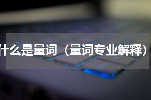 什么是量词（量词专业解释）