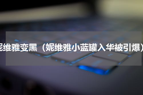 妮维雅变黑（妮维雅小蓝罐入华被引爆）