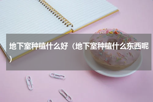 地下室种植什么好（地下室种植什么东西呢）