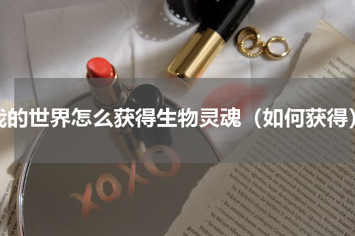 我的世界怎么获得生物灵魂（如何获得）