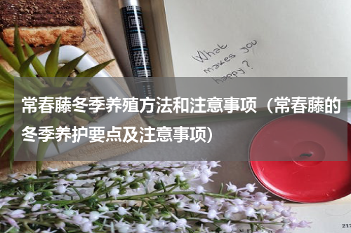 常春藤冬季养殖方法和注意事项（常春藤的冬季养护要点及注意事项）