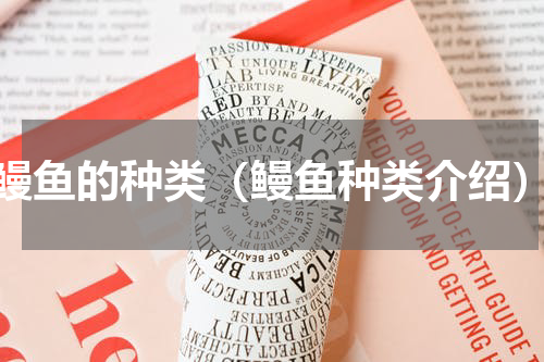 鳗鱼的种类（鳗鱼种类介绍）