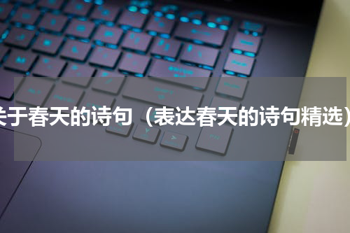 关于春天的诗句（表达春天的诗句精选）