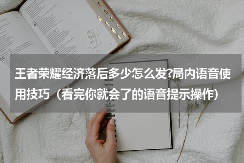 王者荣耀经济落后多少怎么发?局内语音使用技巧（看完你就会了的语音提示操作）