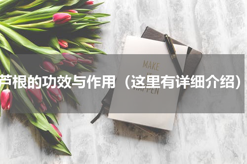 芦根的功效与作用（这里有详细介绍）