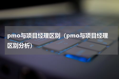 pmo与项目经理区别（pmo与项目经理区别分析）