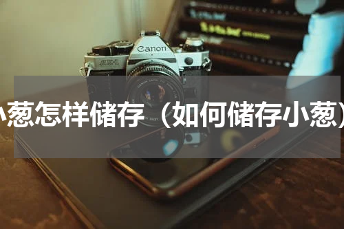 小葱怎样储存（如何储存小葱）