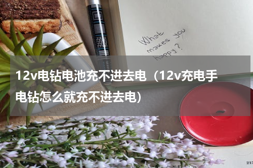 12v电钻电池充不进去电（12v充电手电钻怎么就充不进去电）
