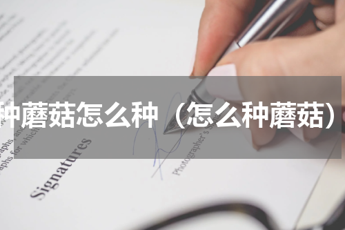 种蘑菇怎么种（怎么种蘑菇）