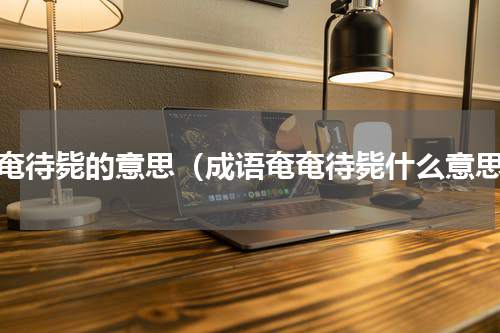 奄奄待毙的意思（成语奄奄待毙什么意思）