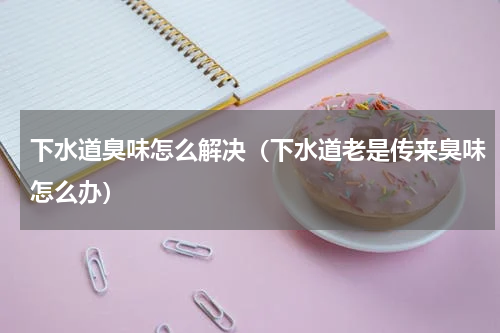 下水道臭味怎么解决（下水道老是传来臭味怎么办）