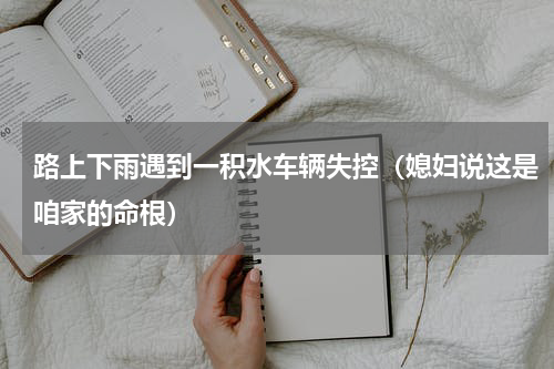 路上下雨遇到一积水车辆失控（媳妇说这是咱家的命根）