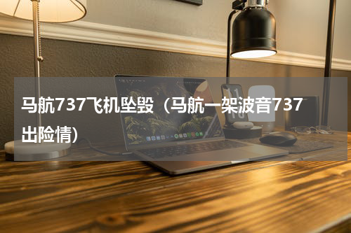 马航737飞机坠毁（马航一架波音737出险情）