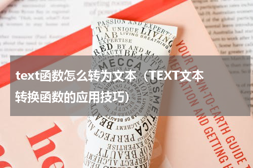 text函数怎么转为文本（TEXT文本转换函数的应用技巧）
