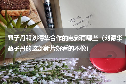 甄子丹和刘德华合作的电影有哪些（刘德华甄子丹的这部新片好看的不像）