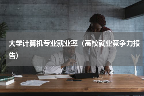 大学计算机专业就业率（高校就业竞争力报告）