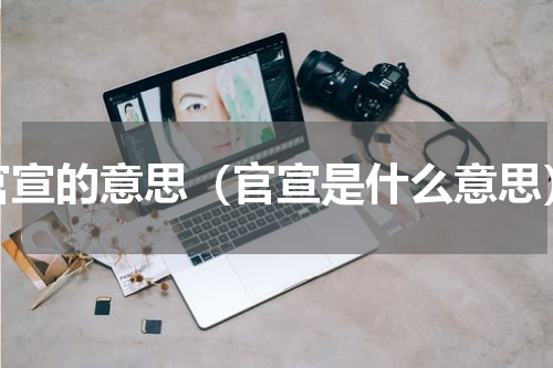 官宣的意思（官宣是什么意思）