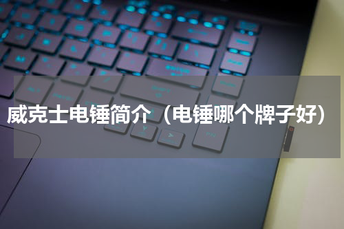 威克士电锤简介（电锤哪个牌子好）