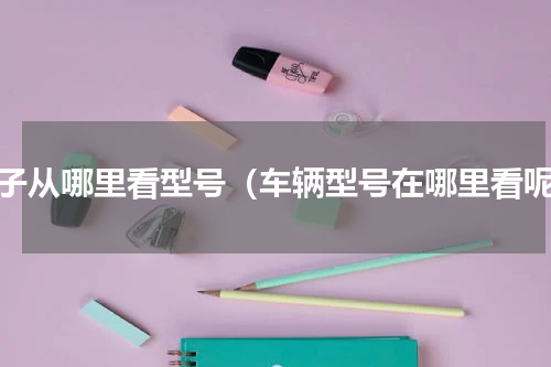 车子从哪里看型号（车辆型号在哪里看呢）