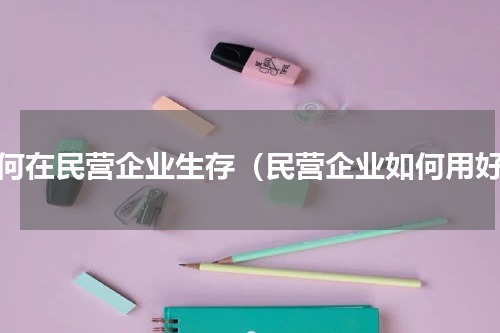 如何在民营企业生存（民营企业如何用好）