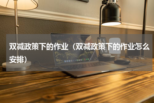 双减政策下的作业（双减政策下的作业怎么安排）