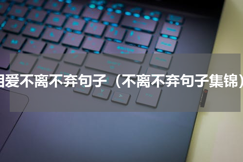 相爱不离不弃句子（不离不弃句子集锦）