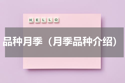 品种月季（月季品种介绍）