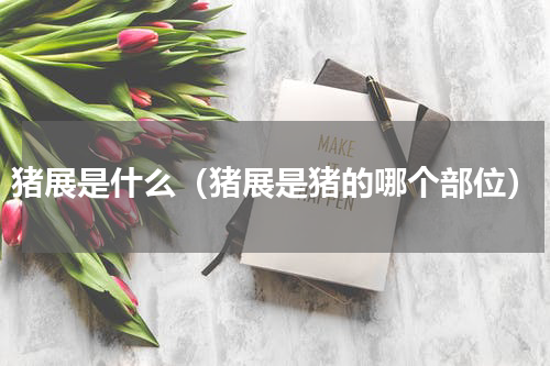 猪展是什么（猪展是猪的哪个部位）