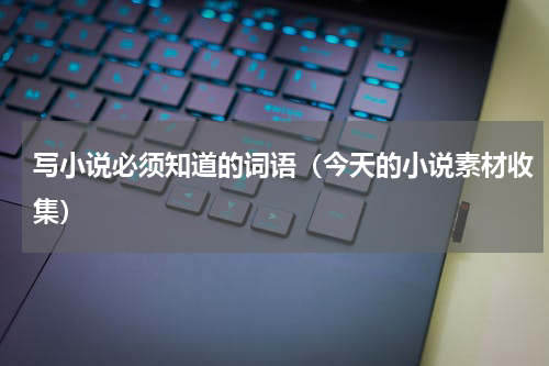 写小说必须知道的词语（今天的小说素材收集）