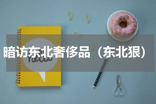 暗访东北奢侈品（东北狠）