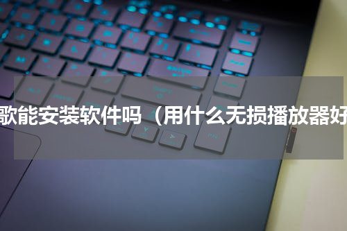 飞歌能安装软件吗（用什么无损播放器好）